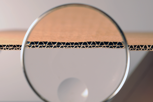 Detailansicht Doppelwelle